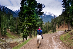 Horseback Riding Vacations - RV Vacation Idea