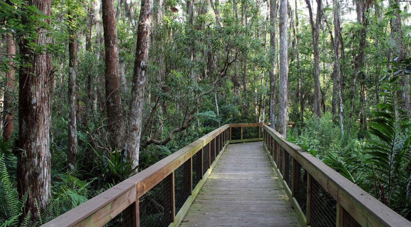 National Forests / National Preserves near Miami