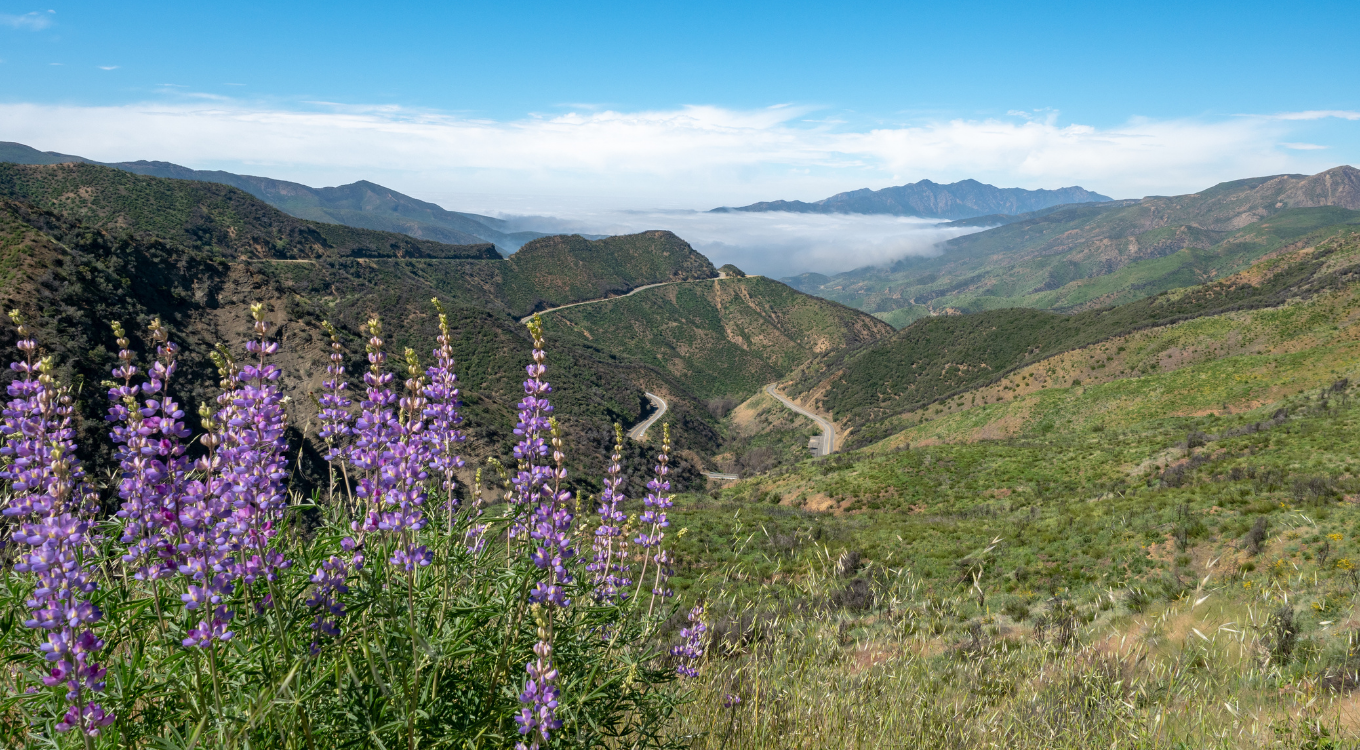National Forests near Ventura/Oxnard, CA - Outdoor Adventure and Year-Round Recreational Opportunity