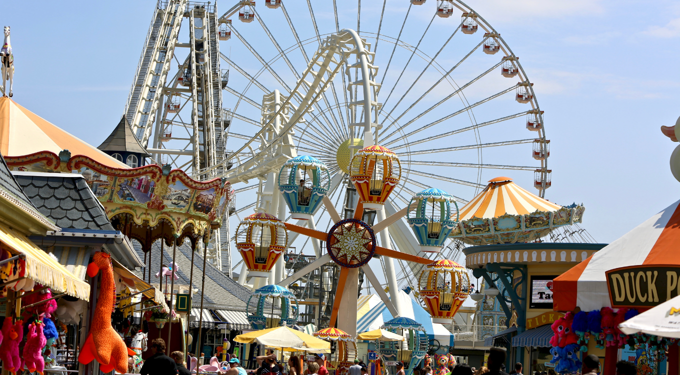 Local Attractions / Amusement and Theme Parks