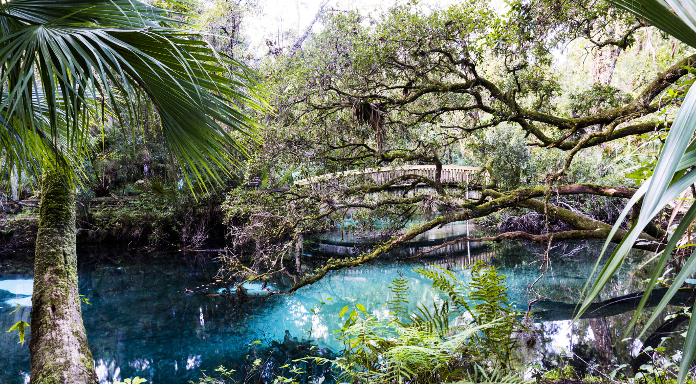 National Forests / National Preserves near Orlando